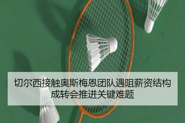 切尔西接触奥斯梅恩团队遇阻薪资结构成转会推进关键难题