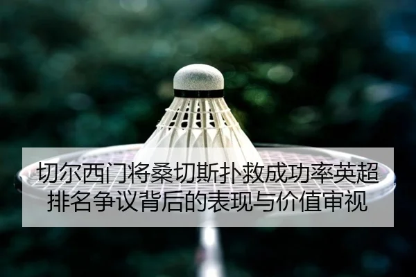 切尔西门将桑切斯扑救成功率英超排名争议背后的表现与价值审视