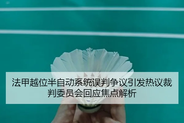 法甲越位半自动系统误判争议引发热议裁判委员会回应焦点解析