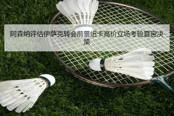 阿森纳评估伊萨克转会前景纽卡高价立场考验夏窗决策